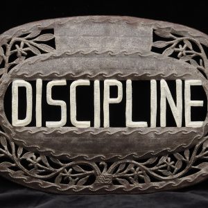 Discipline