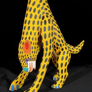 Chita Amarillo (yellow cheetah)