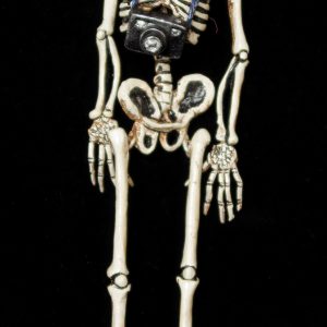 El Fotografo Calavera - articulated skeleton
