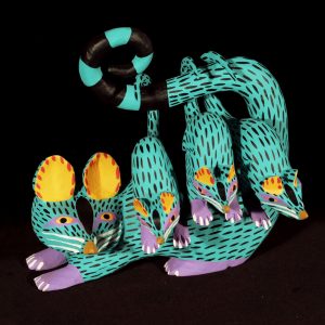 Tlacuaches (possum family)