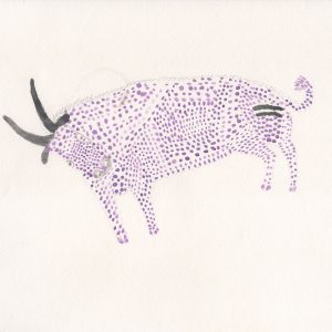 Wildebeest