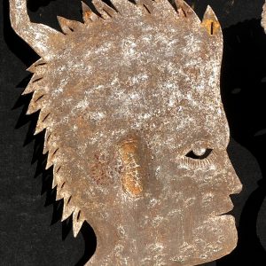 A Bird on the Head