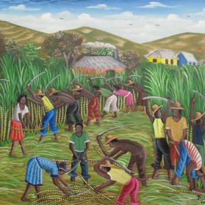 Cane Harvest