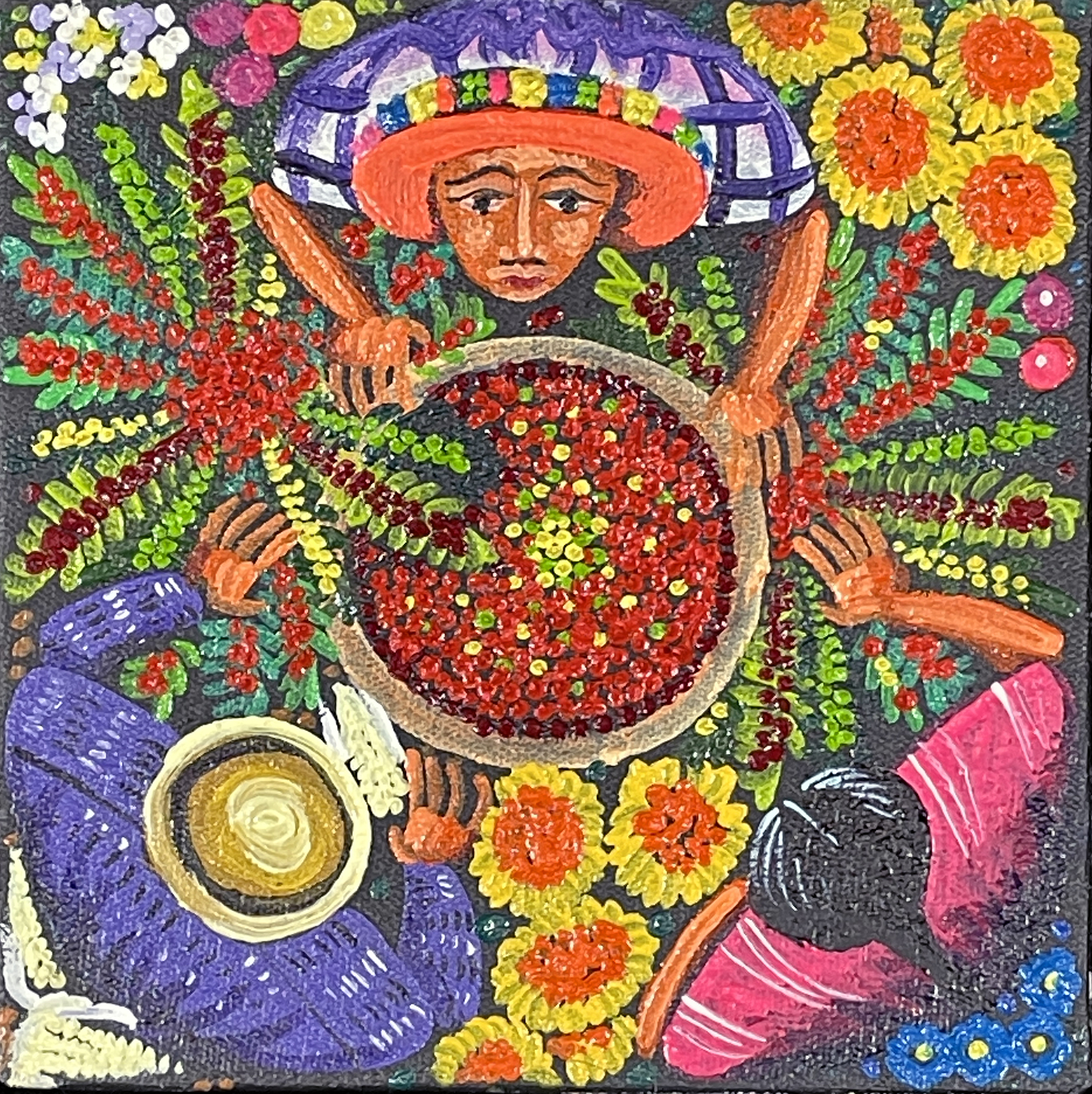 Coffee Harvest - Bird's eye View