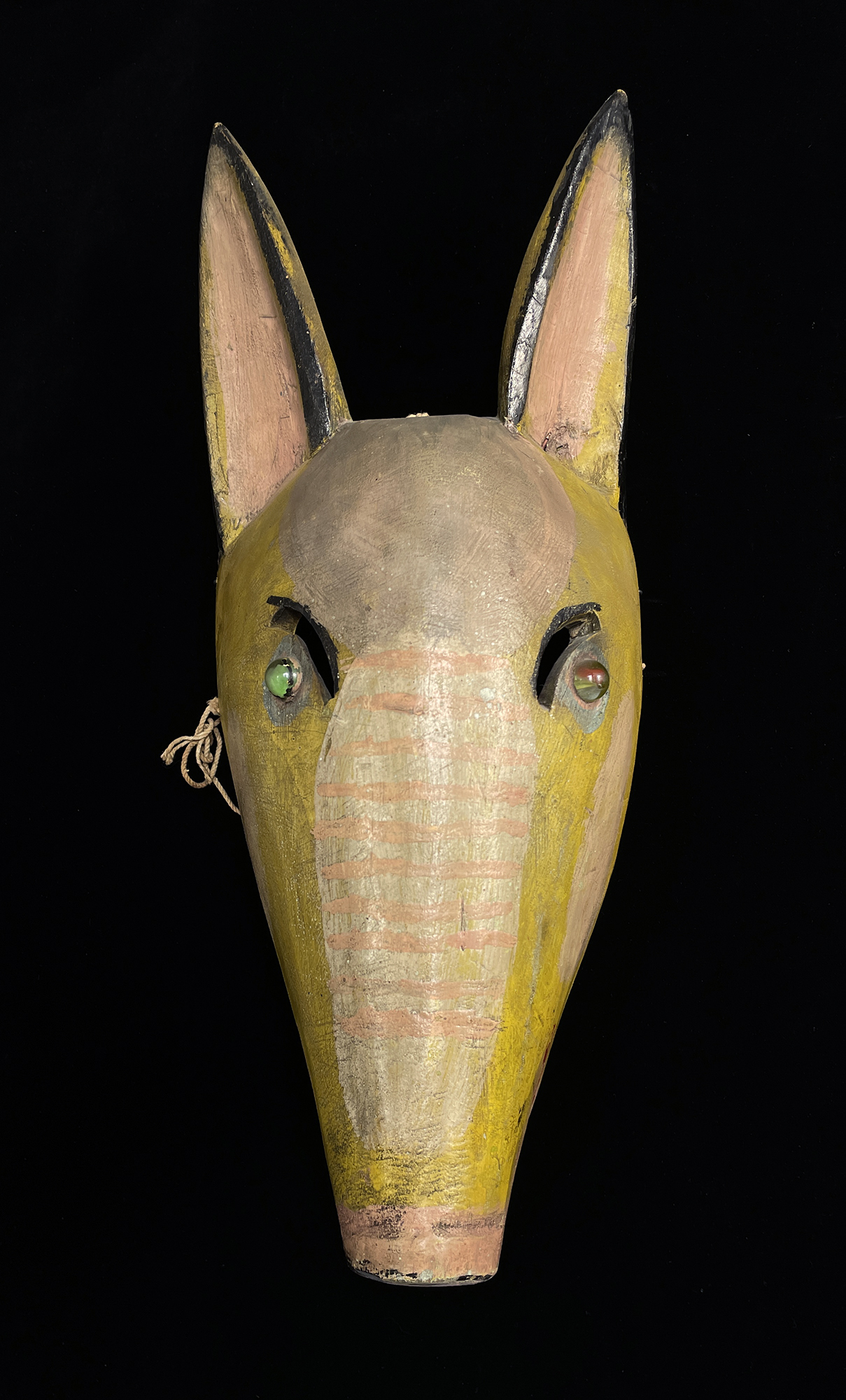 Tapir Mask