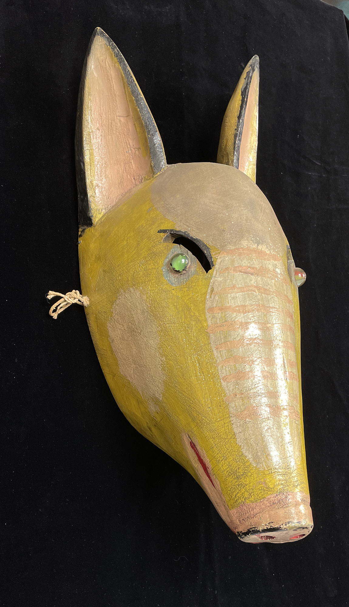 Tapir Mask
